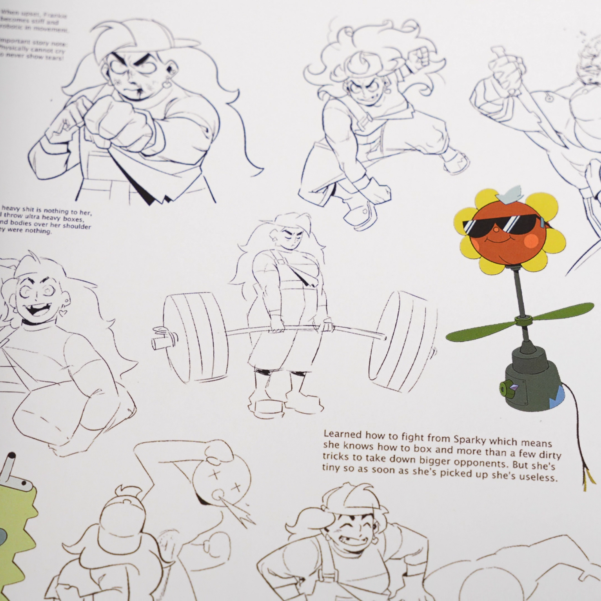 Art of the Pilot Book ---- Knights of Guinevere